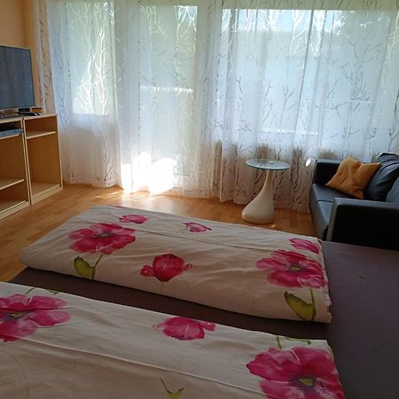 Offenburg Apartment Bagian luar foto