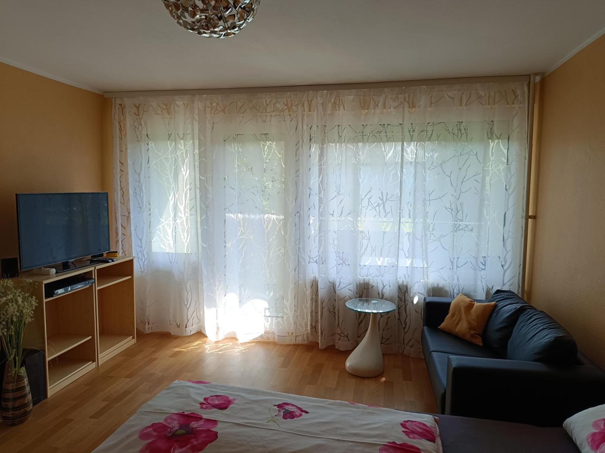 Offenburg Apartment Bagian luar foto