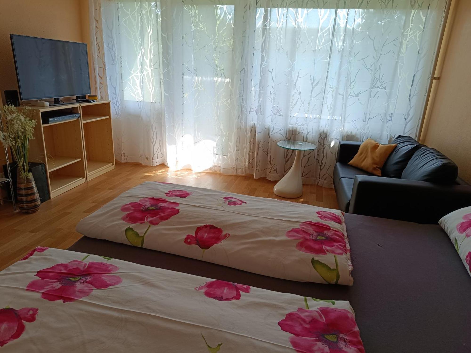 Offenburg Apartment Bagian luar foto