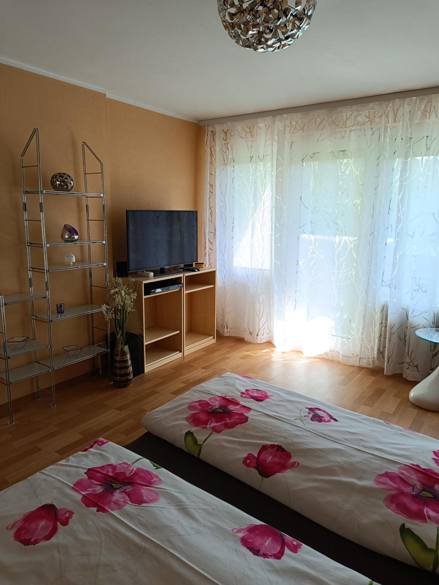 Offenburg Apartment Bagian luar foto