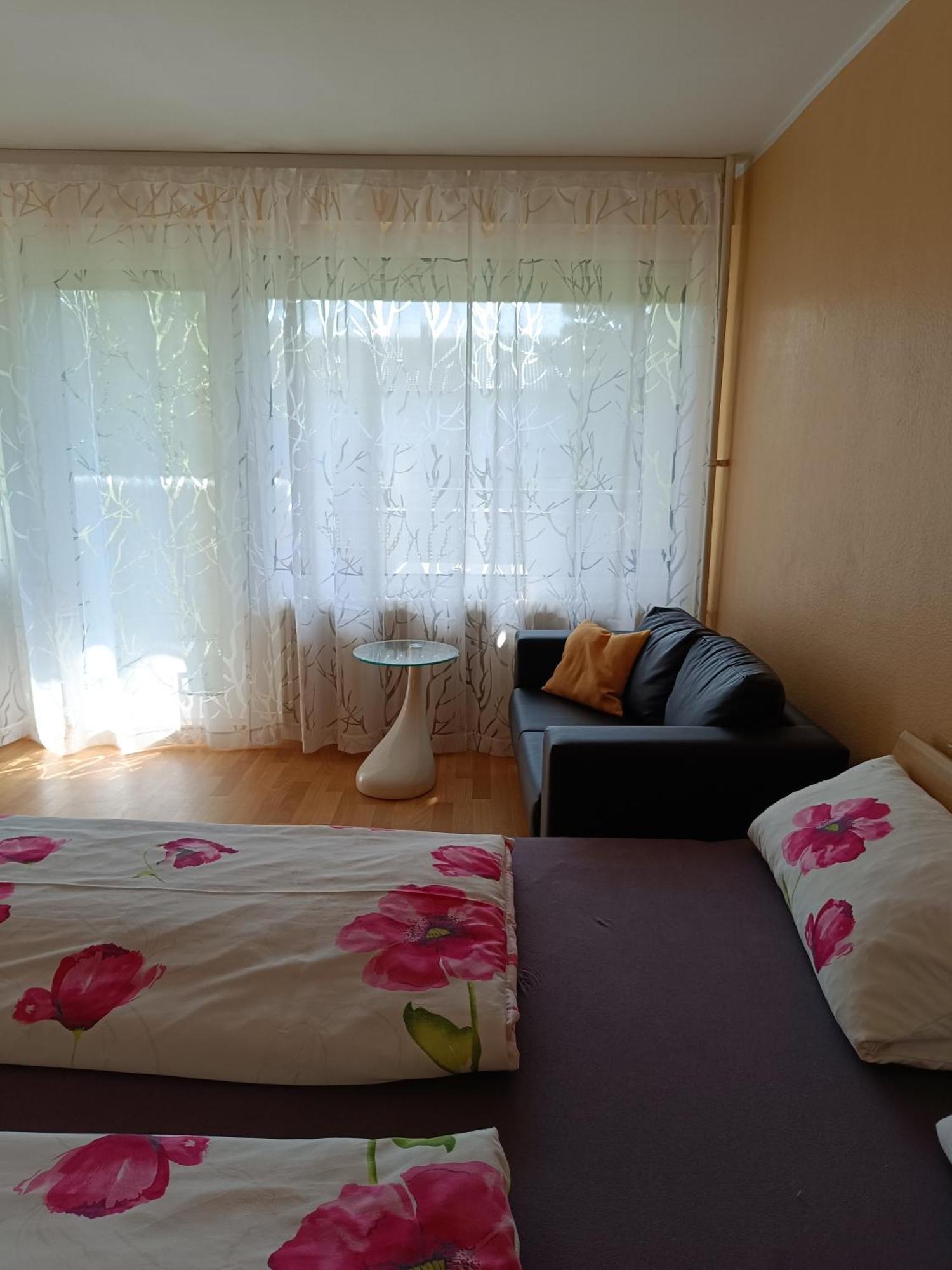 Offenburg Apartment Bagian luar foto